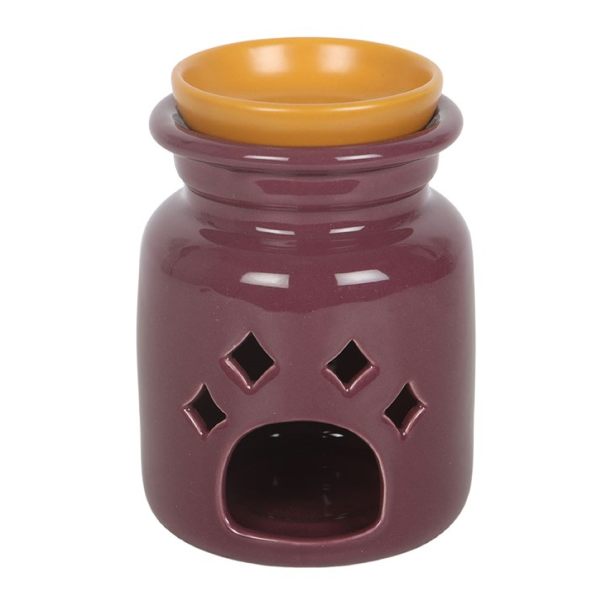 Mischief and Magic Potion Bottle Oil Burner and Wax Warmer