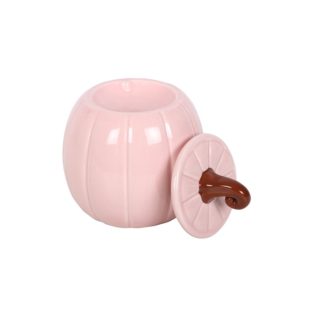 Pink Curly Pumpkin Oil Burner