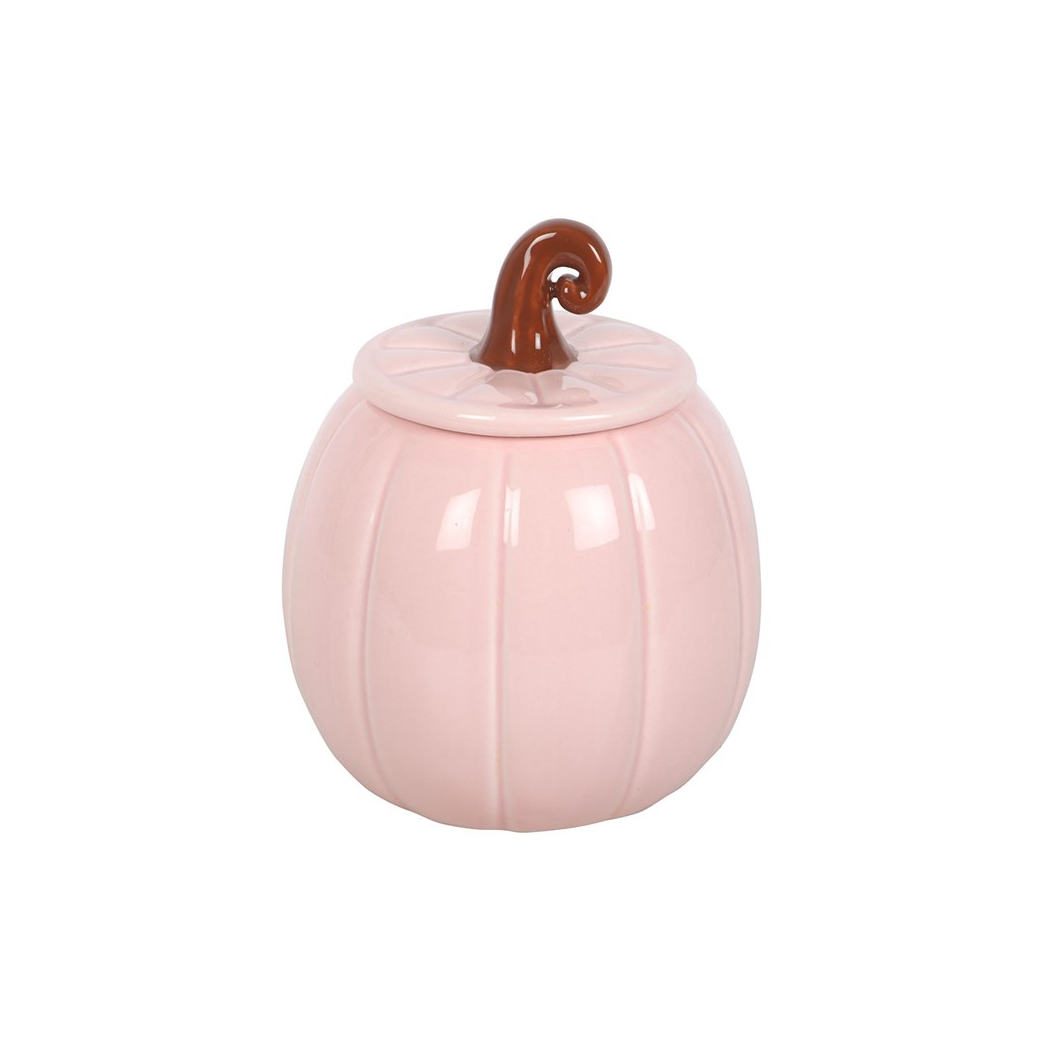 Pink Curly Pumpkin Oil Burner