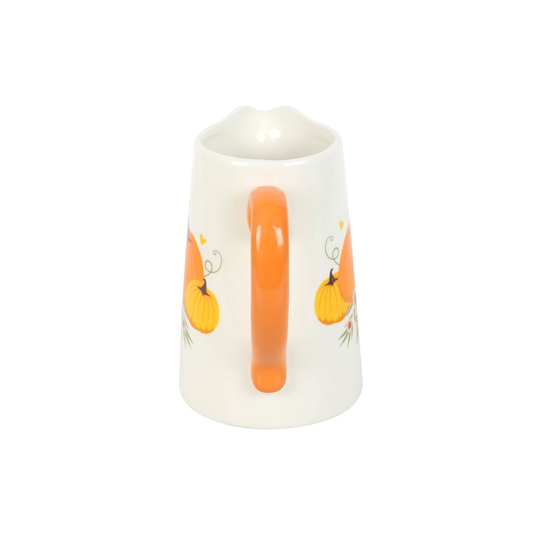 Autumn Pumpkin Ceramic Flower Jug