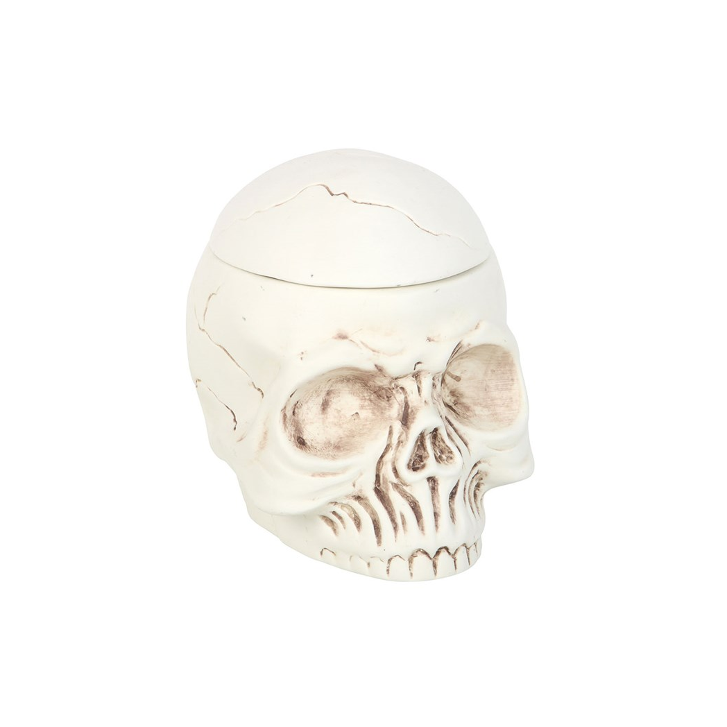 Weathered Skull Oil Burner and Wax Warmer
